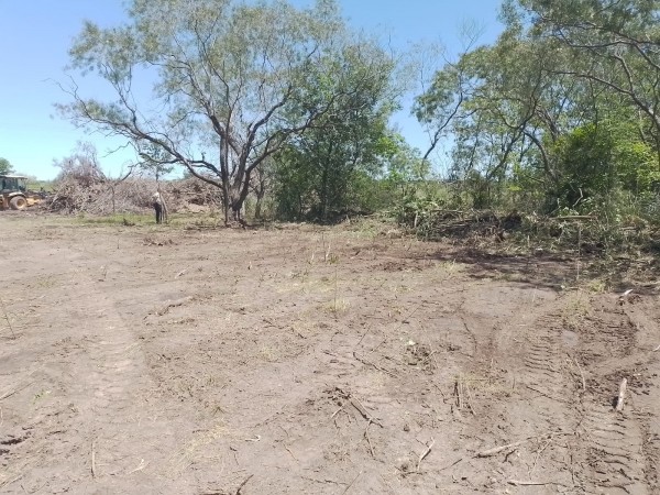 GRAN TERRENO LOTEO "MOJON DE ORO" - MA. LUISA - VENTA