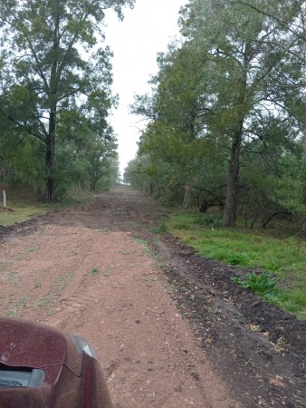 GRAN TERRENO LOTEO "MOJON DE ORO" - MA. LUISA - VENTA