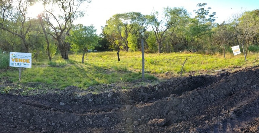 GRAN TERRENO LOTEO "MOJON DE ORO" - MA. LUISA - VENTA