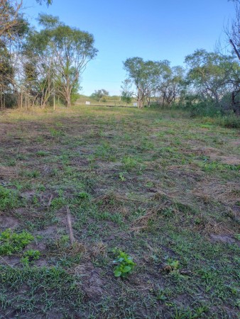 GRAN TERRENO LOTEO "MOJON DE ORO" - MA. LUISA - VENTA