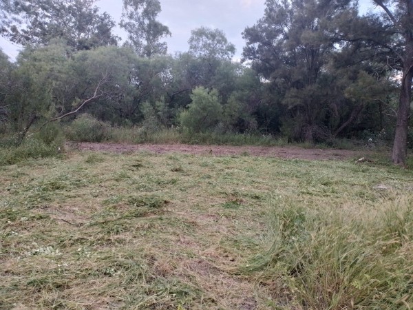GRAN TERRENO LOTEO "MOJON DE ORO" - MA. LUISA - VENTA