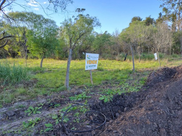 GRAN TERRENO LOTEO "MOJON DE ORO" - MA. LUISA - VENTA
