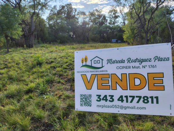 GRAN TERRENO LOTEO "MOJON DE ORO" - MA. LUISA - VENTA