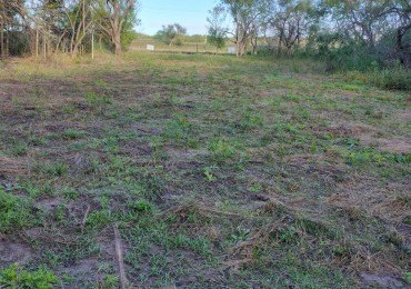 GRAN TERRENO LOTEO "MOJON DE ORO" - MA. LUISA - VENTA
