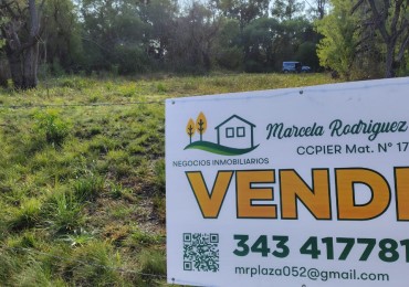 GRAN TERRENO LOTEO "MOJON DE ORO" - MA. LUISA - VENTA